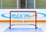 Имитатор - хоккейные ворота Т-770 - магазин СпортДоставка. Спортивные товары интернет магазин в Томске 