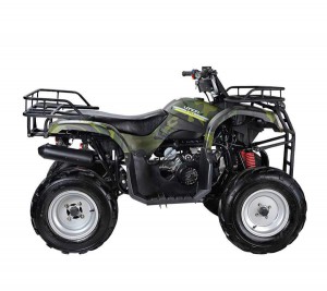 WELS ATV Purga 170 -  .       